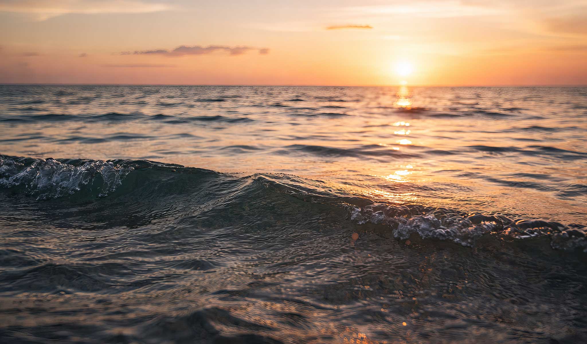 Saltwater Collection